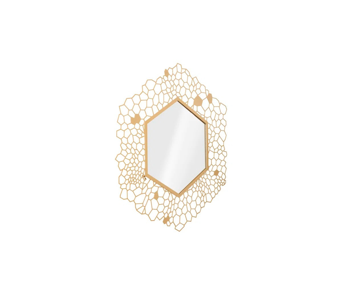 The Hexa Bloom Mirror